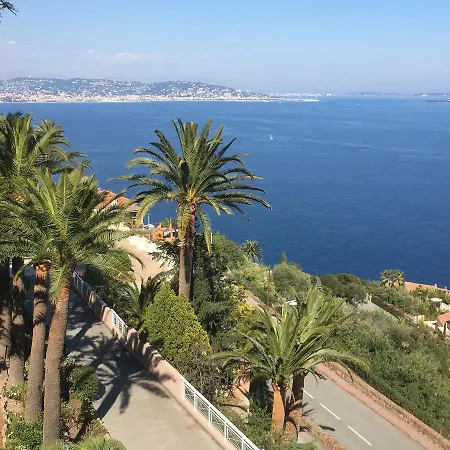 Association Saint Camille *