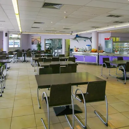 Association Saint Camille *